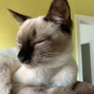 Meet your Posher, Alice